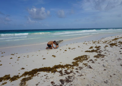 Spiaggia-e-mare-Tulum - Diario di viaggio in Messico