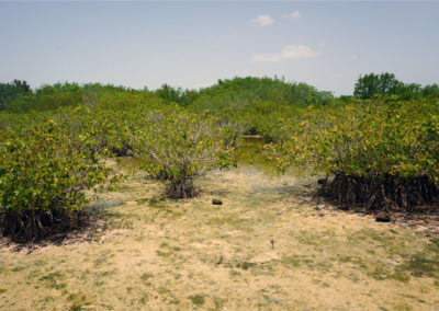 Zona-paludosa-di-Holbox---Diario-di-viaggio-in-Messico