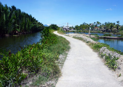 sterrato-tra-risaie-,corsi-d_acqua-e-palme-basse