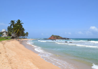 Mirissa - Diario di viaggio in Sri Lanka