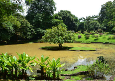 Giardino Botanico di Peradeniya - Diario di viaggio in Sri Lanka