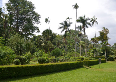 Giardino Botanico di Peradeniya - Diario di viaggio in Sri Lanka