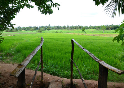 Risaie e villaggio di fango - Diario di viaggio in Sri Lanka