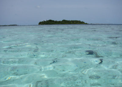 Villingillivaru - Diario di viaggio alle Maldive