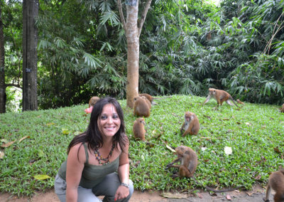 Scimmie Giardino Botanico di Peradeniya - Diario di viaggio in Sri Lanka