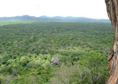 Foresta con roccia di Sigiriya - Diario di viaggio in Sri Lanka