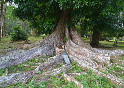 Giardino Botanico di Peradeniya - Diario di viaggio in Sri Lanka