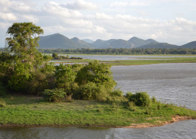 Parco Nazionale di Minnerya - Diario di viaggio in Sri Lanka