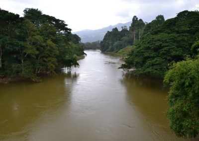 Ponte sospeso Giardino Botanico di Peradeniya - Diario di viaggio in Sri Lanka