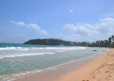 Mirissa - Diario di viaggio in Sri Lanka