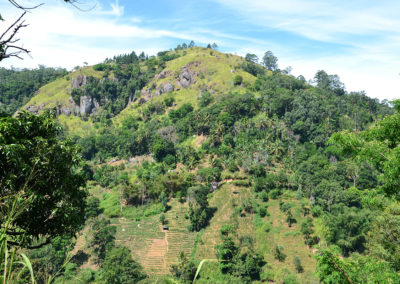 Panorama strada Nuwara eliya yala - Diario di viaggio in Sri Lanka