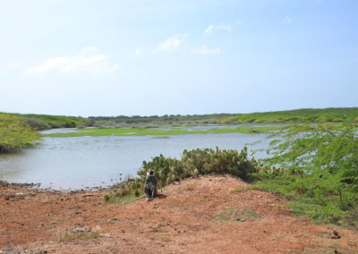 Parco-Nazionale-di-Bundala - Diario di viaggio in Sri Lanka