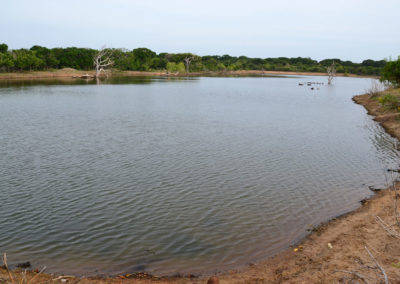 Yala - Diario di viaggio in Sri Lanka