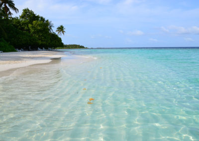 Biyadhoo--Maldive
