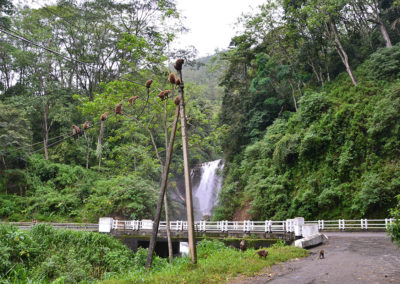 Cascate e vegetazione lussureggiante tra Kandy e Nuwara-Eliya - Diario sdi viaggio in Sri Lanka