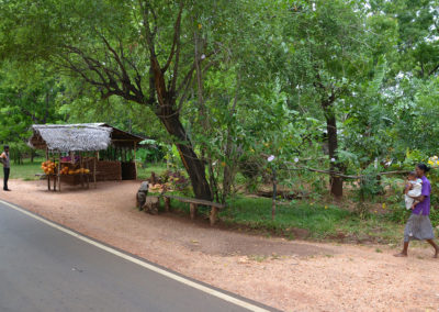 Strada dintorni di Polannaruwa- Diario di viaggio in Sri Lanka