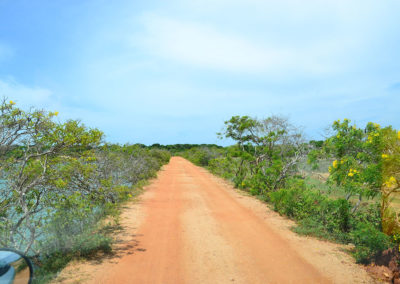Yala - Diario di viaggio in Sri Lanka