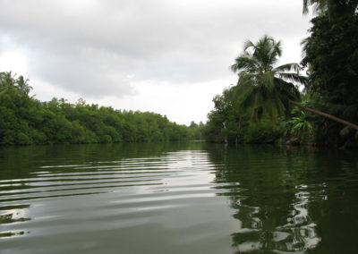 Madu-River-(Balapitiya) - Diario di viaggio in Sri Lanka