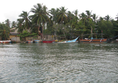 Madu-River-(Balapitiya) - Diario di viaggio in Sri Lanka