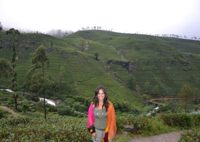 Piantagioni di tè tra Kandy e Nuwara-Eliya - Diario sdi viaggio in Sri Lanka