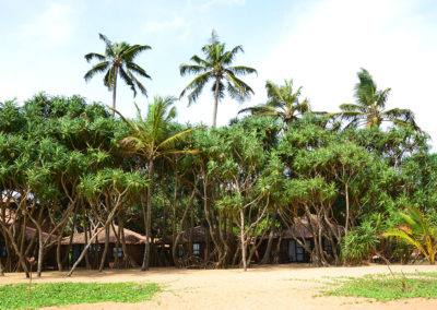 Camere Ranweli Holiday Village - Diario di viaggio in Sri Lanka