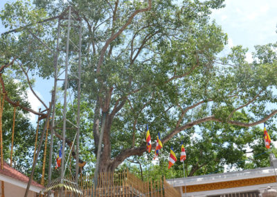 Mahavihara Sri Maha Bodhi Anuradhapura - Diario di viaggio in Sri Lanka