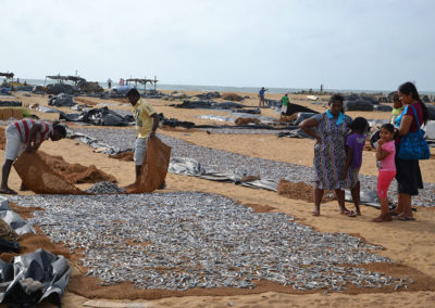 Mercato del pesce di Negombo - Diario di viaggio in Sri Lanka