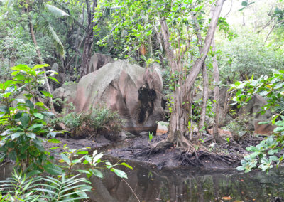 Veuve Nature Reserve La Digue - Diario di viaggio alle Seichelles