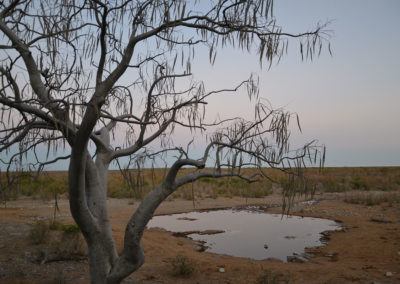 pozza Halal -Etosha alba - Diario di viaggio in Namibia