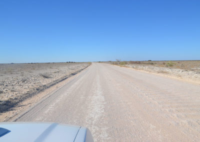 Strada Parco Etosha - Diario di viaggio in Namibia
