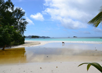 Anse Volbert Praslin - Diario di viaggio alle Seichelles