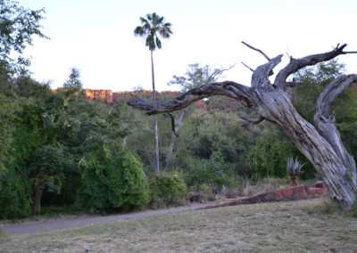 Waterberg National Park - Diario di viaggio in Namibia