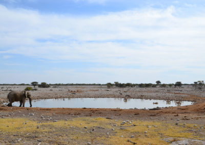 pozza Okuakuejoe Etosha - Diario di viaggio in Namibia