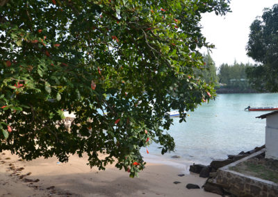 Le Port Guest House Praslin - Diario di viaggio alle Seichelles