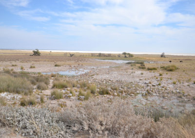 Pozza namutoni Etosha - Diario di viaggio in Namibia