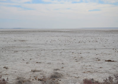 Pan Etosha - Diario di viaggio in Namibia