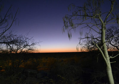 Etosha - Diario di viaggio in Namibia