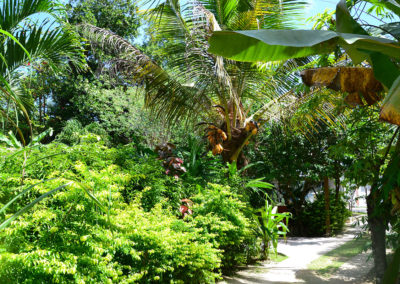 Buisson Guest House La-Digue - Diario di viaggio alle Seichelles