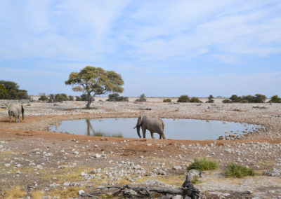 pozza Okuakuejo Etosha - Diario di viaggio in Namibia