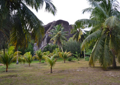 -Union Estate Farm La Digue - Diario di viaggio alle Seichelles