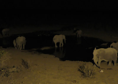 Pozza Halali di notte - Diario di viaggio in Namibia