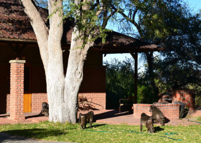 Waterberg National Park - Diario di viaggio in Namibia