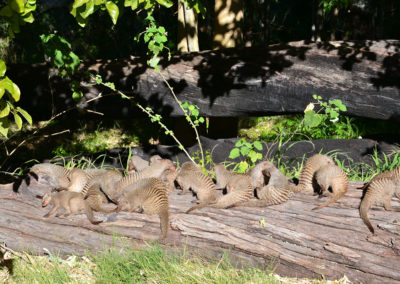 Waterberg National Park - Diario di viaggio in Namibia