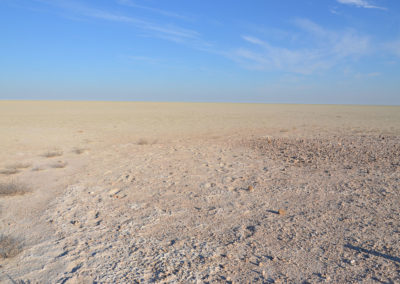 Etosha - Diario di viaggio in Namibia