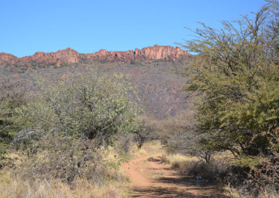 In prossimità del Waterberg - Diario di viaggio in Namibia