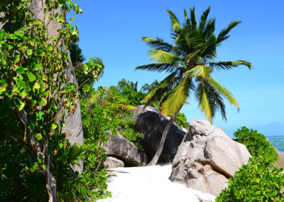 Sentiero per Anse Source d'Argent La Digue - Diario di viaggio alle Seichelles
