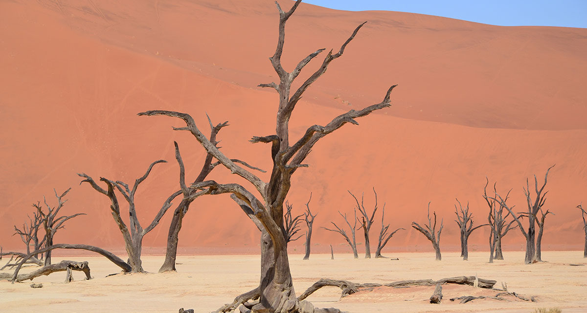 Diario di viaggio in Namibia