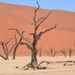 Diario di viaggio in Namibia