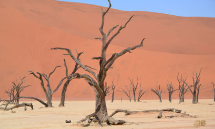 Diario di viaggio in Namibia