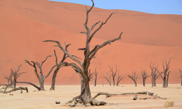 Diario di viaggio in Namibia